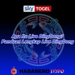 Apa Itu Live Ding Dong? Panduan Lengkap Live Ding Dong