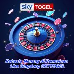 Rahasia Menang di Permainan Live Dingdong SKYTOGEL