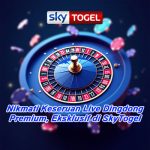 Nikmati Keseruan Live Dingdong Premium, Eksklusif di SkyTogel